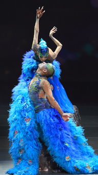 楊麗萍所屬文化公司籌劃上市 民族藝術保護與商業發展的雙贏之路