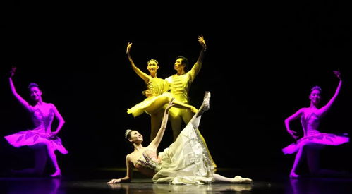 以美育人，以文化人 遼寧芭蕾舞團(tuán)專場演出點(diǎn)亮寧夏大學(xué)新華學(xué)院藝術(shù)星空